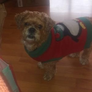 Meet your Posher, Maryjane